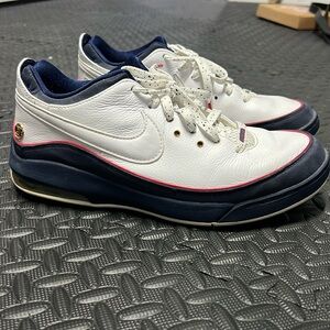 Nike LeBron James size 11 blue/white athletic shoes